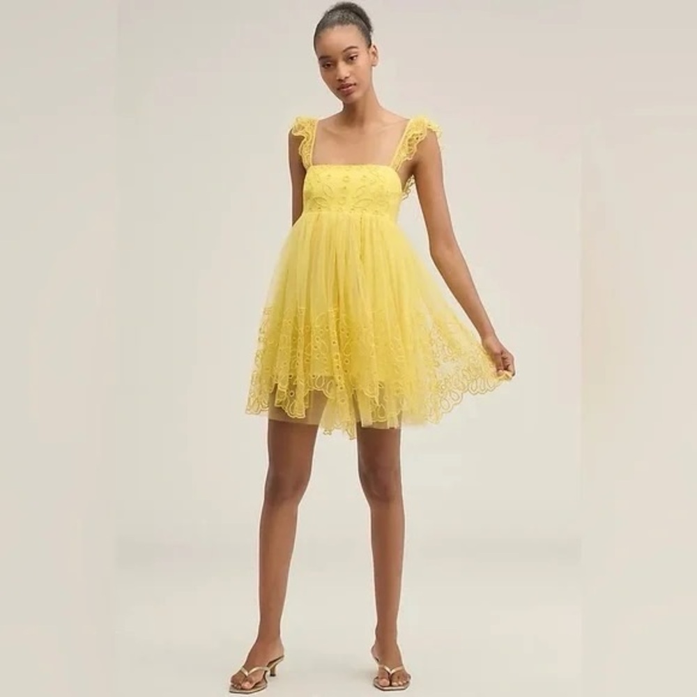 Anthropologie Let Me Be Eyelet Tulle Mini Dress